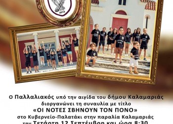«Οι νότες σβήνουν τον πόνο» – Η μεγάλη φιλανθρωπική συναυλία του Παλλαλιακού - Cover Image