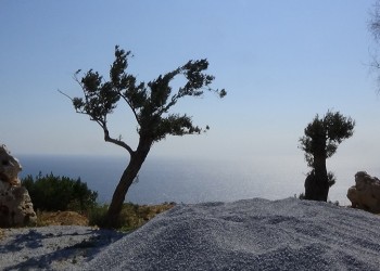 Ο κόσμος από τον Άθωνα