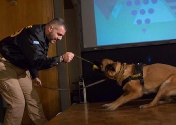 Η ΕΛΑΣ αποχαιρέτισε τον αστυνομικό σκύλο ANUK