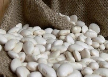 Από τη Φλώρινα, τα φασόλια Πρεσπών σε ΗΠΑ και Σαουδική Αραβία