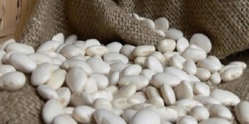 Από τη Φλώρινα, τα φασόλια Πρεσπών σε ΗΠΑ και Σαουδική Αραβία