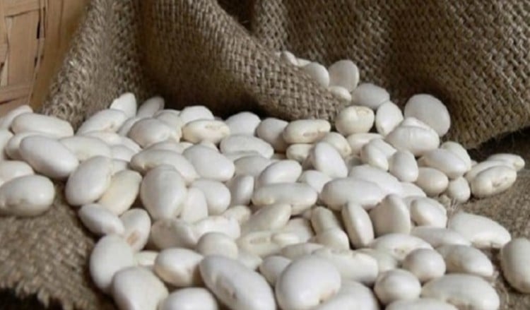 Από τη Φλώρινα, τα φασόλια Πρεσπών σε ΗΠΑ και Σαουδική Αραβία