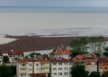 Από τη Φάτσα του Πόντου: Δεν μπορείτε να φανταστείτε τι είναι αυτό στο βίντεο