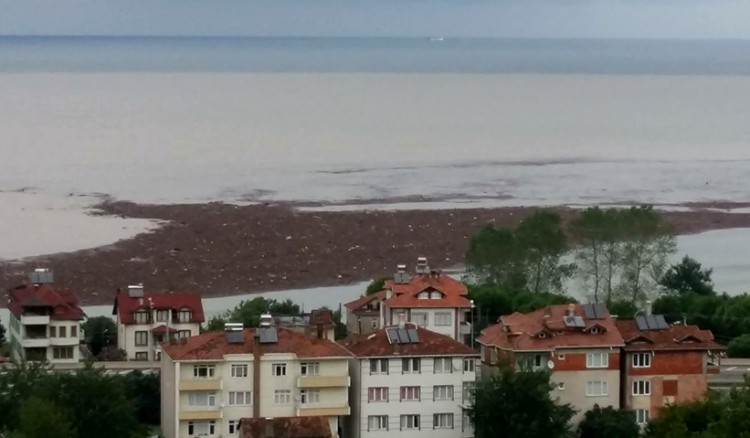 Από τη Φάτσα του Πόντου: Δεν μπορείτε να φανταστείτε τι είναι αυτό στο βίντεο