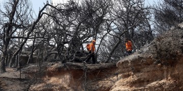 Στις 2.133 οι αιτήσεις πυρόπληκτων για το επίδομα