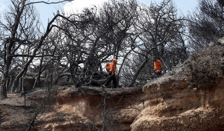 Στις 2.133 οι αιτήσεις πυρόπληκτων για το επίδομα