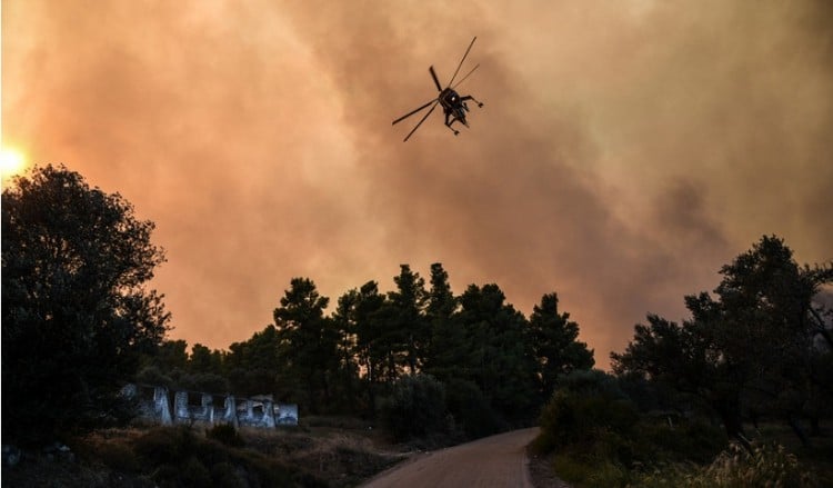 Εύβοια: Συνελήφθη 32χρονος για εννέα εμπρησμούς