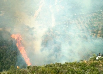 Φωτιά στον Αποκόρωνα Χανίων