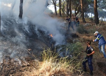 Πολύ υψηλός κίνδυνος πυρκαγιάς σήμερα σε 4 περιφέρειες