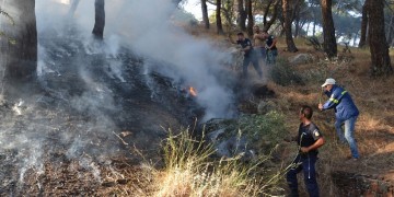 Πολύ υψηλός κίνδυνος πυρκαγιάς σήμερα σε 4 περιφέρειες