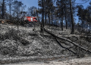 Σε ύφεση η φωτιά στην Εύβοια