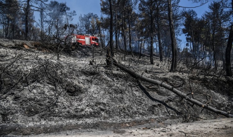 Σε ύφεση η φωτιά στην Εύβοια