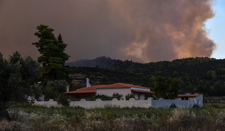 Φωτιά στην Εύβοια: Δεν υπάρχουν πλέον ενεργά μέτωπα στα Ψαχνά