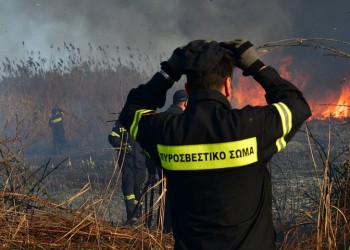 Αχαΐα: Φωτιά σε προστατευόμενη δασική έκταση στην περιοχή της Στροφυλιάς  2