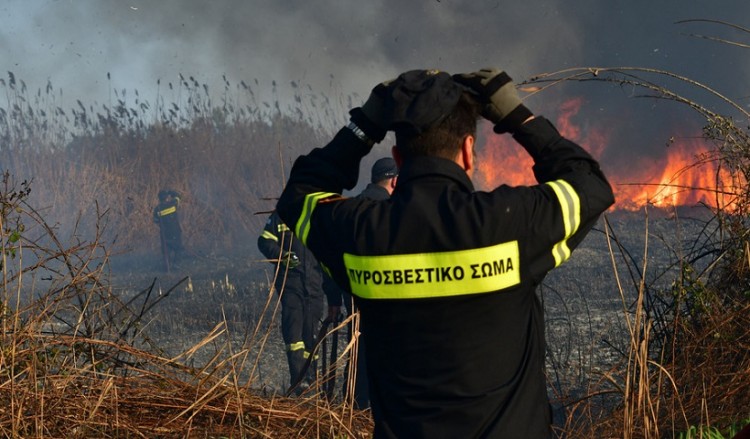 Αχαΐα: Φωτιά σε προστατευόμενη δασική έκταση στην περιοχή της Στροφυλιάς  2