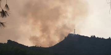 Ηλεία: Σε ύφεση η φωτιά στη Δαφνιώτισσα της Αμαλιάδας