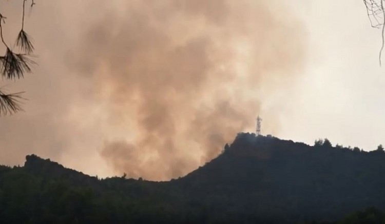 Ηλεία: Σε ύφεση η φωτιά στη Δαφνιώτισσα της Αμαλιάδας