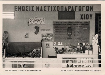 Χίος: Η μαστίχα και 80 χρόνια από την μεγάλη ιστορία της στο Πυργί