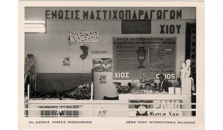Χίος: Η μαστίχα και 80 χρόνια από την μεγάλη ιστορία της στο Πυργί