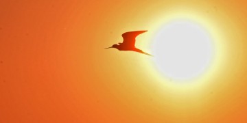 Καιρός σήμερα: Η θερμοκρασία επανέρχεται στα κανονικά για την εποχή επίπεδα 2