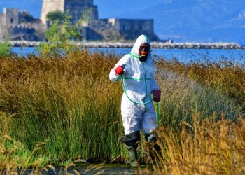 Ξεκινούν οι αεροψεκασμοί για τα κουνούπια σε ρέματα της Αττικής