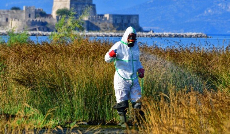 Ξεκινούν οι αεροψεκασμοί για τα κουνούπια σε ρέματα της Αττικής