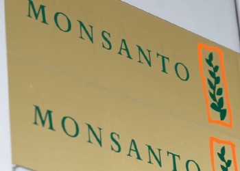 Γαλλία: Δικαστήριο δικαιώνει για τρίτη φορά αγρότη που προσέφυγε κατά της Monsanto