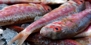 Μπαρμπούνια, χέλια και τόνους έτρωγαν οι πλούσιοι αρχαίοι Έλληνες – Φτωχοί οι ψαράδες, πλούσιοι οι ιχθυέμποροι