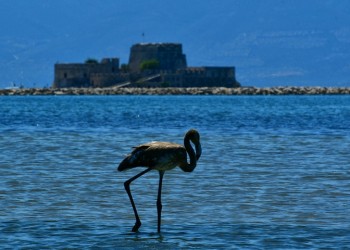 Τοπικές βροχές την Κυριακή, ισχυροί βοριάδες στο Αιγαίο