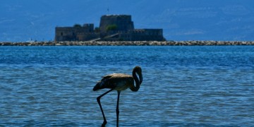 Τοπικές βροχές την Κυριακή, ισχυροί βοριάδες στο Αιγαίο