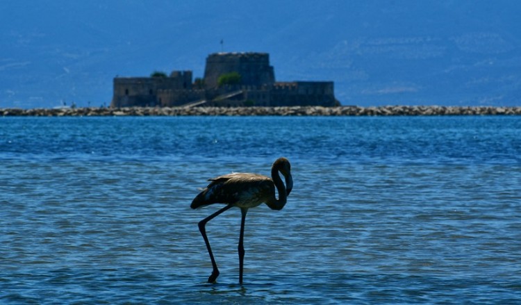 Τοπικές βροχές την Κυριακή, ισχυροί βοριάδες στο Αιγαίο