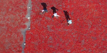 Έδεσσα της Μεσοποταμίας, η πόλη του «κόκκινου χρυσού» (φωτο)