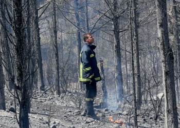Τον συνέλαβαν με 5 αναπτήρες στην τσέπη σε δάσος της Χαλκιδικής