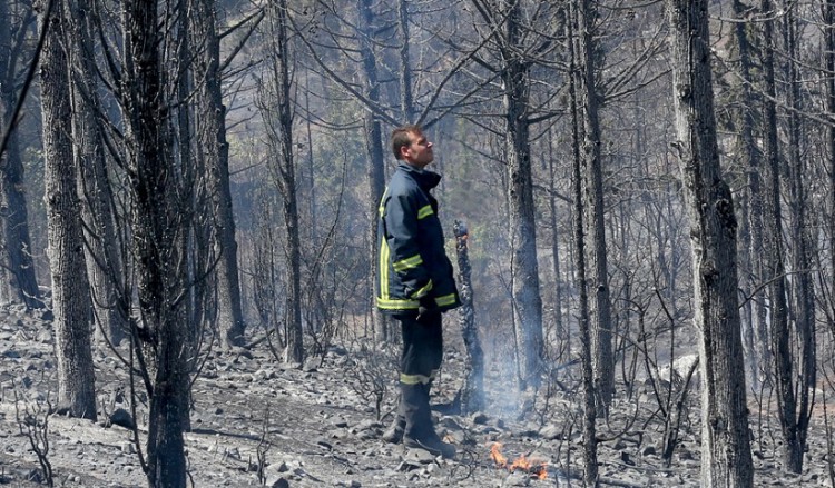 Τον συνέλαβαν με 5 αναπτήρες στην τσέπη σε δάσος της Χαλκιδικής