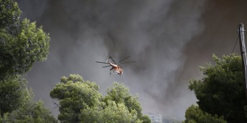 Φωτιά στη Μάλτα Οιχαλίας, στη Μεσσηνία 2