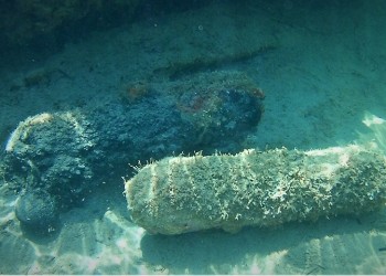 Κεφαλονιά: Εξουδετερώθηκαν βλήματα Β΄ ΠΠ κοντά σε φωλιές χελώνας καρέτα-καρέτα