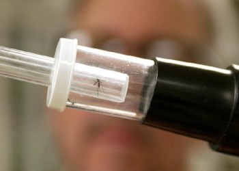 Ιός Δυτικού Νείλου: Στα 202 τα κρούσματα, ανησυχία από τον ΙΣΑ