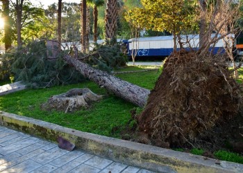 Δήμος Αριστοτέλη: Δεν θα λειτουργήσουν σχολεία και παιδικοί σταθμοί τη Δευτέρα