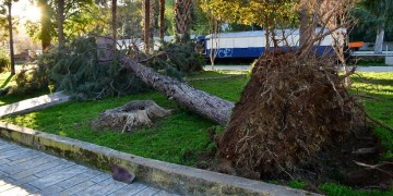 Δήμος Αριστοτέλη: Δεν θα λειτουργήσουν σχολεία και παιδικοί σταθμοί τη Δευτέρα