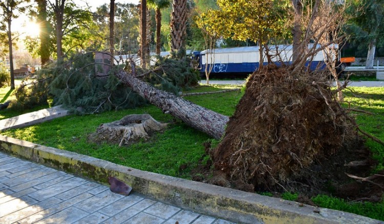 Δήμος Αριστοτέλη: Δεν θα λειτουργήσουν σχολεία και παιδικοί σταθμοί τη Δευτέρα