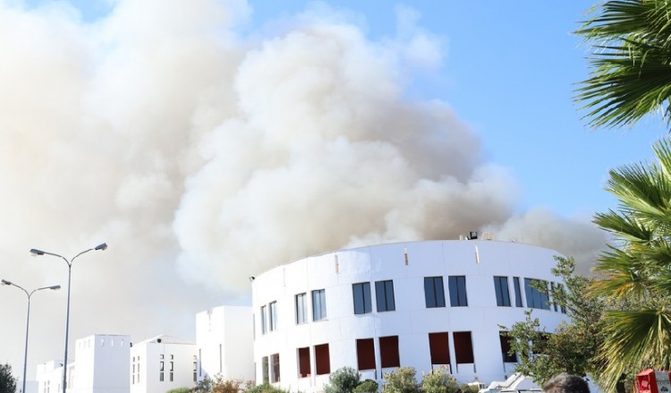 Υπό έλεγχο η φωτιά στο Πανεπιστήμιο Κρήτης