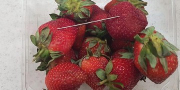 Αυστραλία: Επικήρυξη για το σαμποτάζ με τις βελόνες στις φράουλες