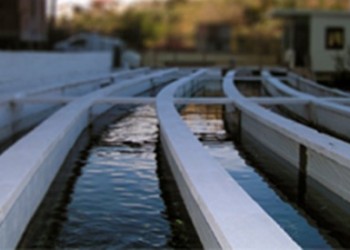 Ο Πόντιος επιχειρηματίας Γιάννης Γεροντίδης με τα γκουρμέ ελληνικά προϊόντα στον Ταΰγετο  (βίντεο)