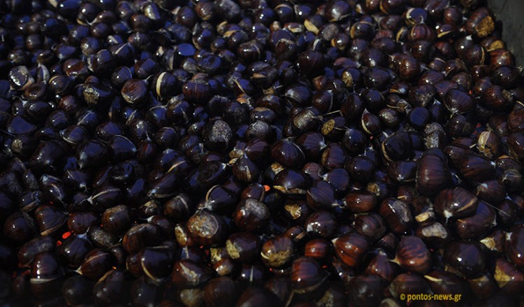 Έντονο ενδιαφέρον για το ελληνικό κάστανο στο εξωτερικό