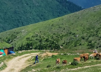 H παραδοσιακή ζωή στο παρχάρι Κουμανάντων