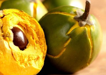 Lucuma: Το superfood από τις Άνδεις με γεύση… καραμέλα