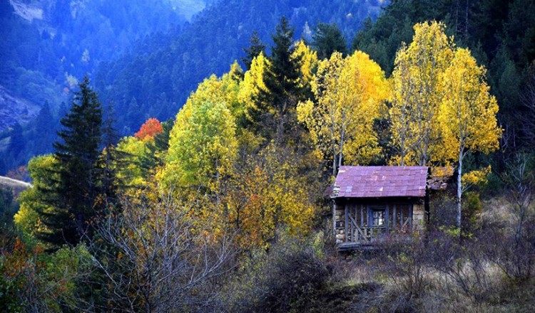 Χρυσές φθινοπωρινές ανταύγειες στην Αργυρούπολη και τη Χαλδία (φωτο)