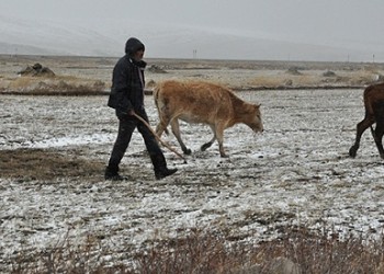 Δύσκολη η ζωή των χωρικών στο Καρς