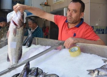 Ψαράς στη Σινώπη έπιασε λαβράκι μεταφορικά και κυριολεκτικά!