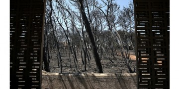 Μάτι: Έφοδοι του ανακριτή σε Υπηρεσίες – Κατασχέθηκαν στοιχεία